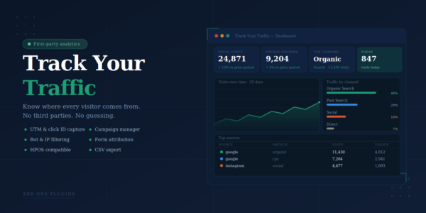 Track Your Traffic WordPress