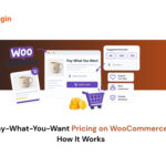 Pay-What-You-Want Pricing on WooCommerce: How It Works